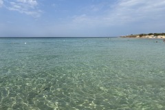 IMG_1948