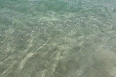 IMG_2101